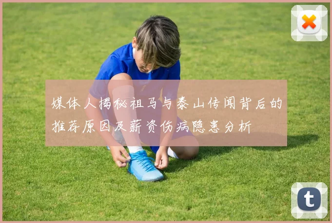 媒体人揭秘祖马与泰山传闻背后的推荐原因及薪资伤病隐患分析