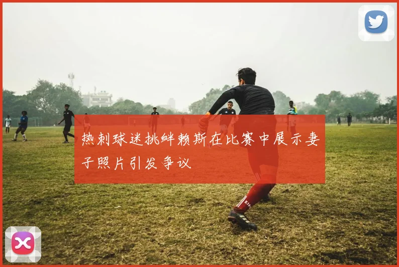 热刺球迷挑衅赖斯在比赛中展示妻子照片引发争议