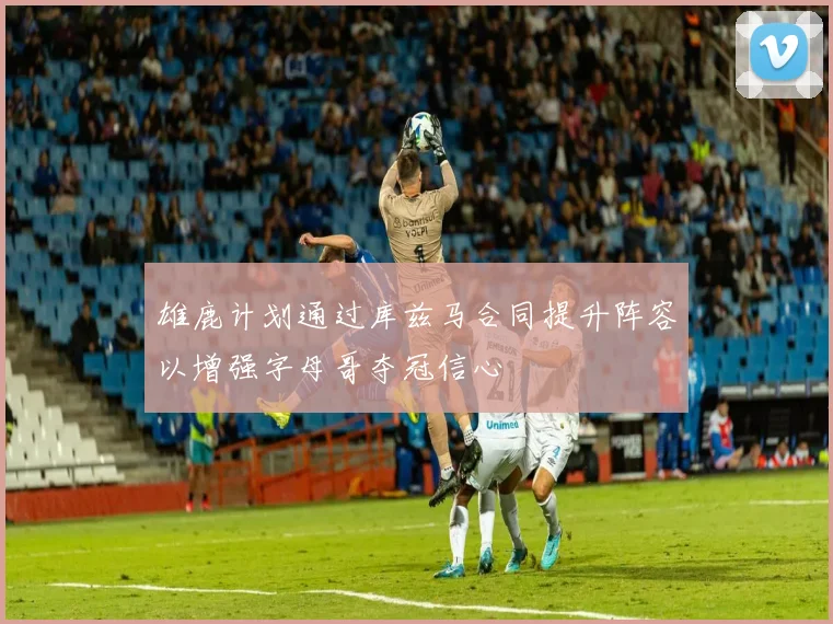 雄鹿计划通过库兹马合同提升阵容以增强字母哥夺冠信心