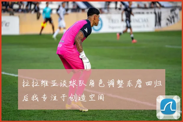 拉拉维亚谈球队角色调整东詹回归后我专注于创造空间