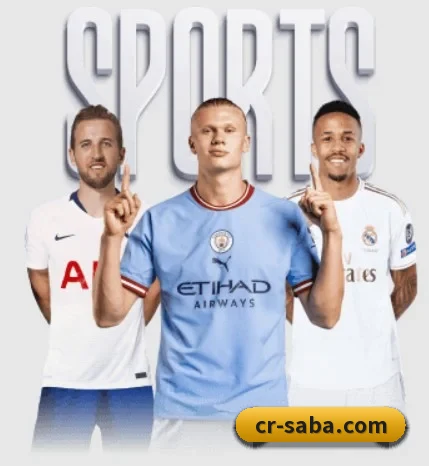 沙巴足球官网五大内容板块,覆盖赛事直播与实时比分（SabaSports）